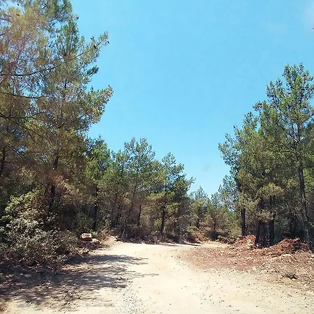 Patara